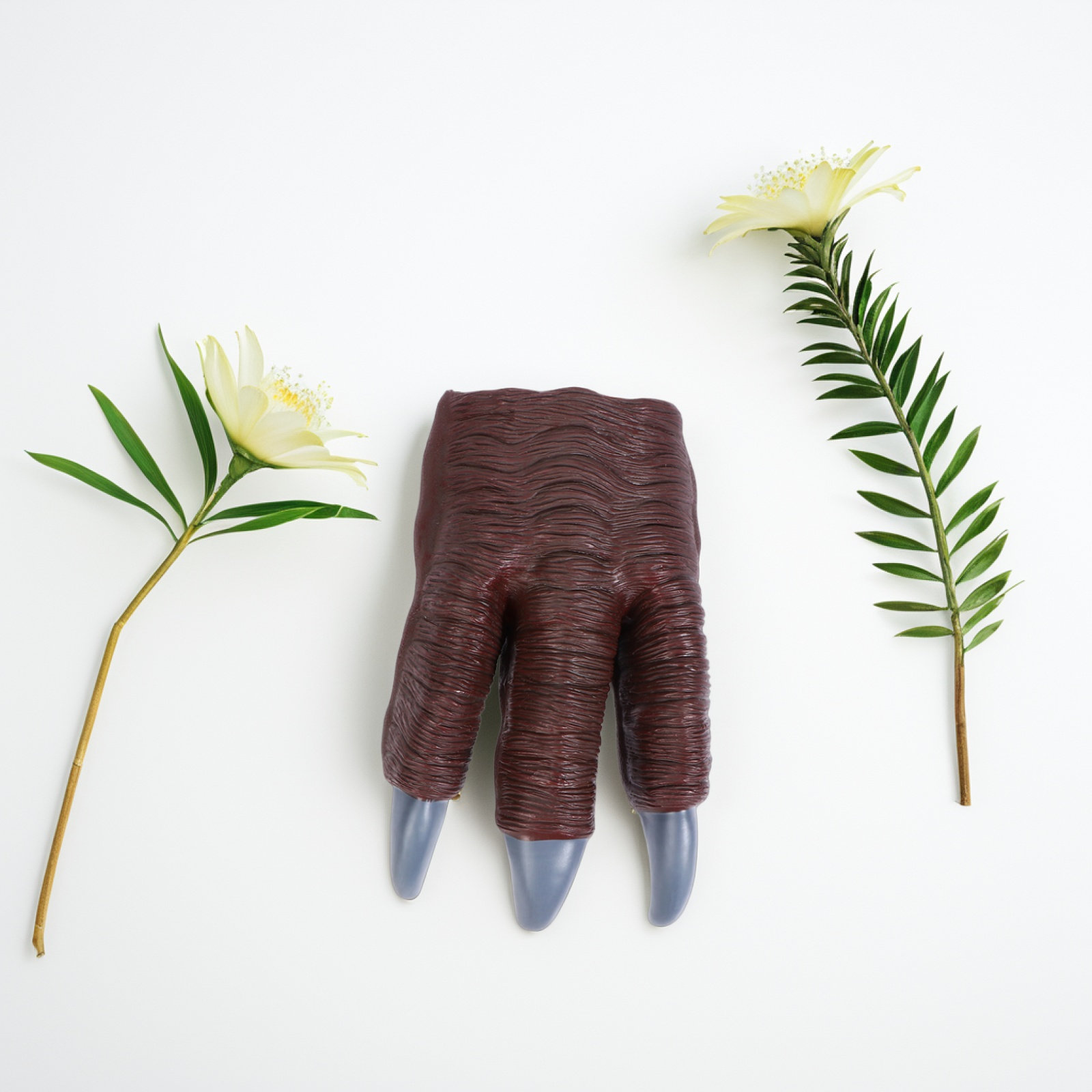 2Pcs Dinosaur Paw Claw Gloves  - Kids Toys Dinosaur ulasan dan harga